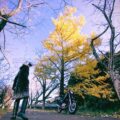 【黄葉】イチョウとバイクと私の写真を撮らなくちゃ☆SR125のある風景