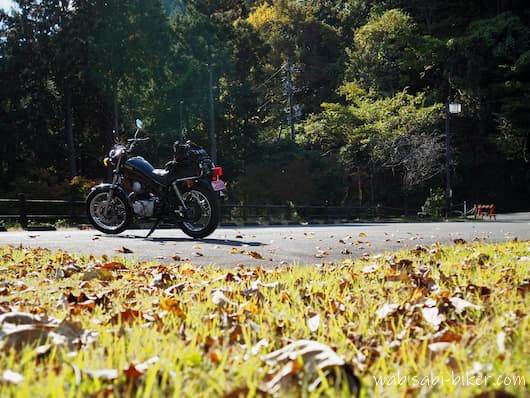 落ち葉とオートバイ