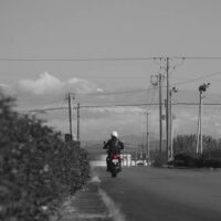 茶畑を走るオートバイ