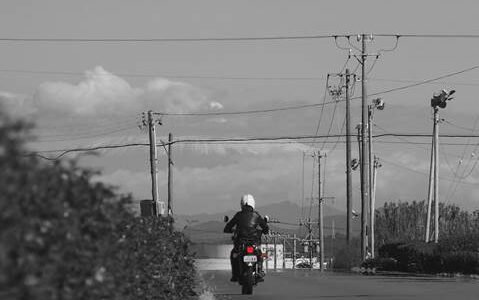 茶畑 牧之原台地を走るオートバイ