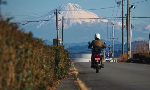 富士山と茶畑 ツーリング写真