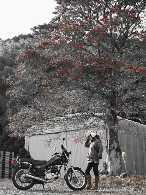 バイクと赤い実のなる木　 パートカラー自撮り写真