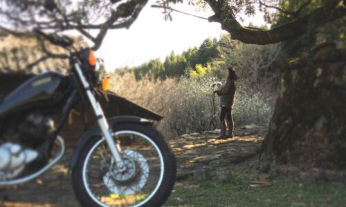 石畳から梅を眺めるバイク乗り