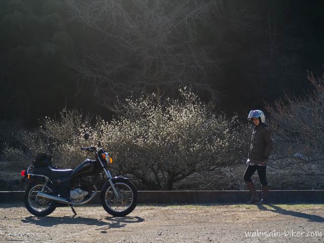 白梅とオートバイ 自撮り写真