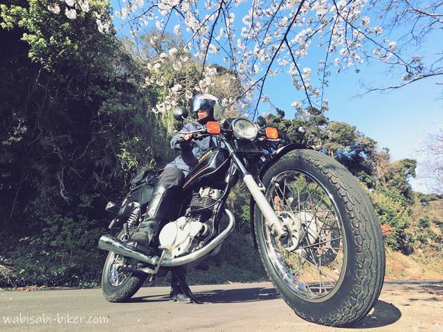 バイク SR125と桜