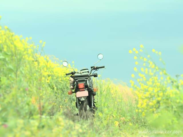 菜の花とオートバイ