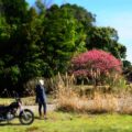 【川沿いの花桃】お散歩ツーリングでのバイク写真撮影