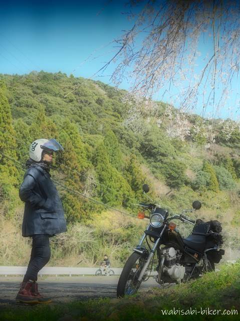 しだれ桜とオートバイ 自撮りバイク写真