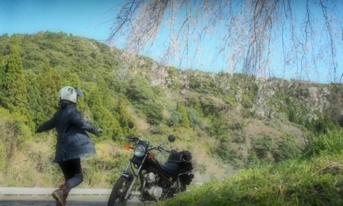 しだれ桜とオートバイ 自撮りバイク写真