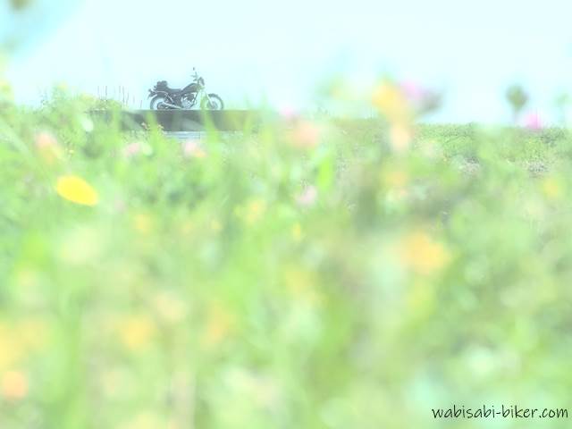 春の野花とバイクのある風景