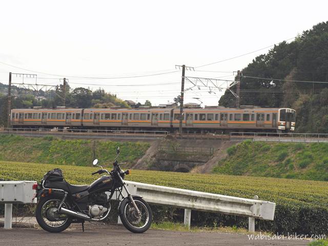 バイクと電車と静岡の茶畑