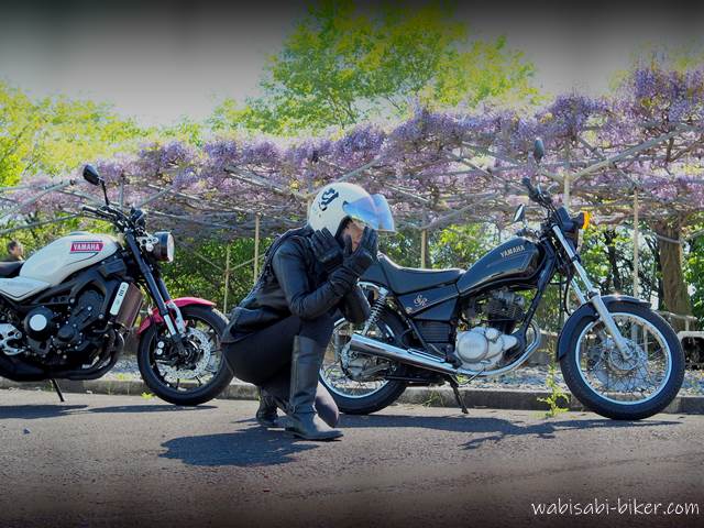 藤の花とオートバイ 自撮りバイク写真