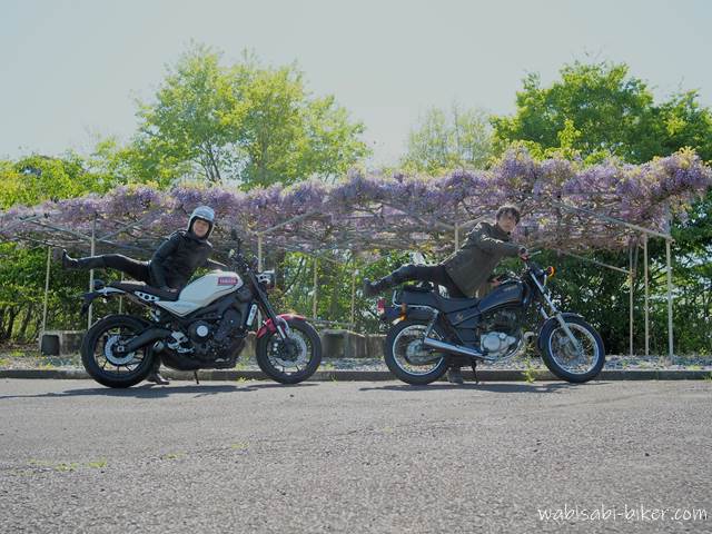 藤の花とオートバイ