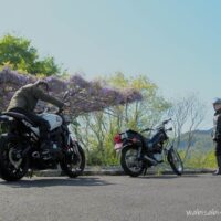 藤の花とバイク カップル写真