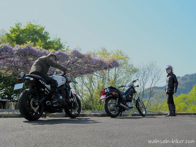 藤の花とバイク カップル写真