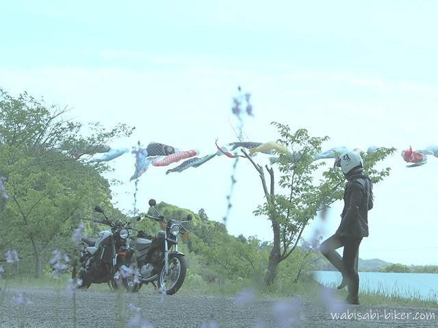 鯉のぼりとオートバイ 自撮りバイク写真