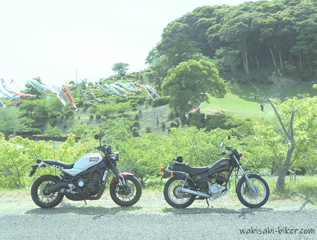 XSR900 SR125 バイクと鯉のぼり