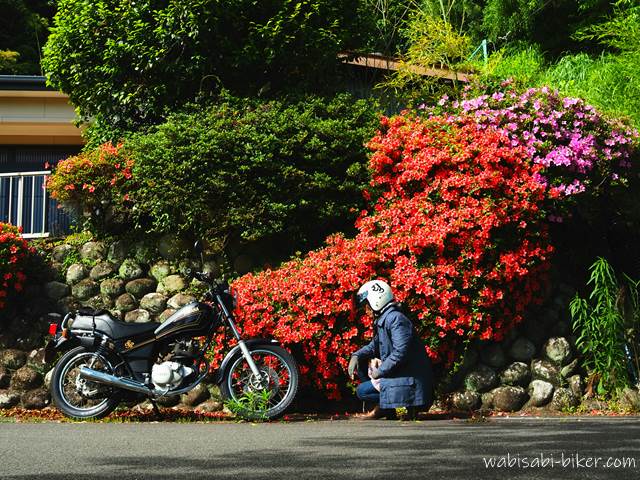 サツキとオートバイ 自撮りバイク写真