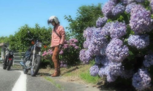 アジサイと女性バイク乗り 自撮り写真