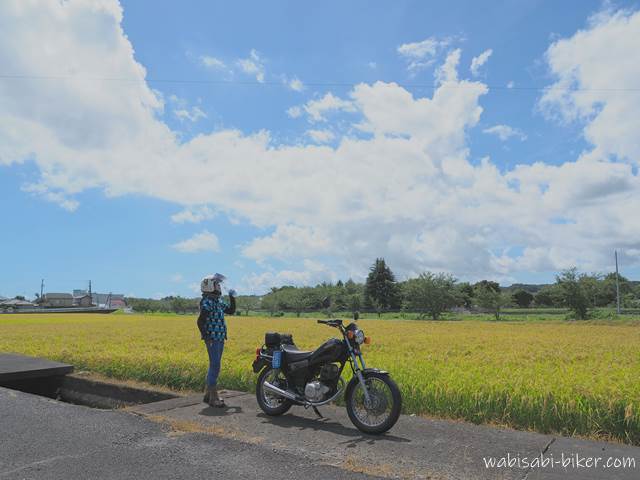 稲穂とオートバイ　自撮りバイク写真