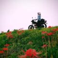【彼岸花×バイク写真】50歳からのセルフポートレート撮影