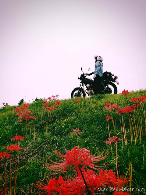 ヒガンバナとオートバイ  セルフポートレート写真