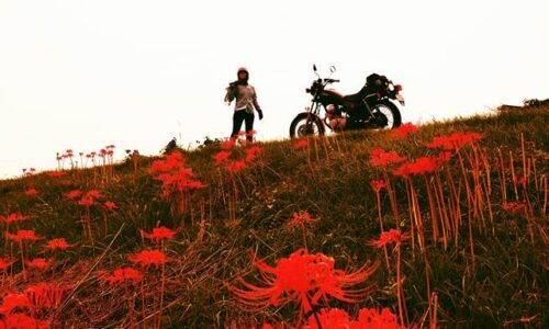 ヒガンバナとオートバイ セルフポートレート写真