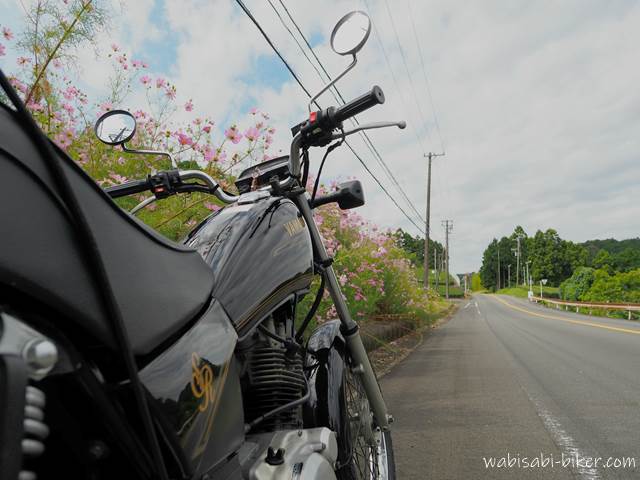 コスモスの咲く田舎道とオートバイ YAMAHA SR125