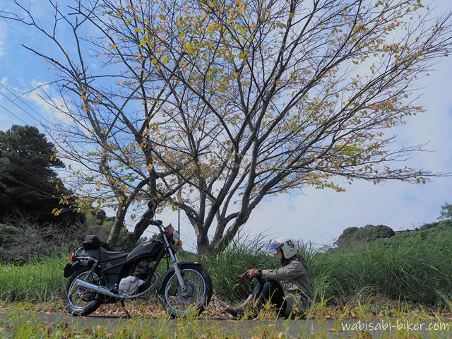 桜紅葉とオートバイ セルフポートレート写真