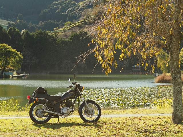 池と黄葉とオートバイ