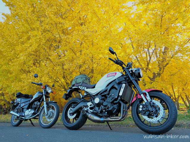 バイクとイチョウの黄葉 XSR900,SR125