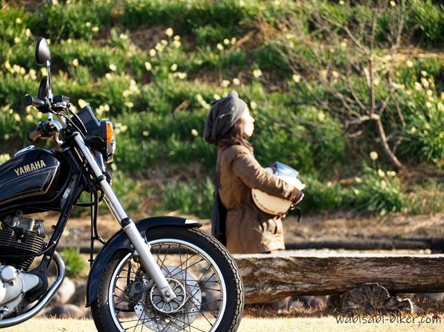オートバイとスイセン 自撮りバイク写真