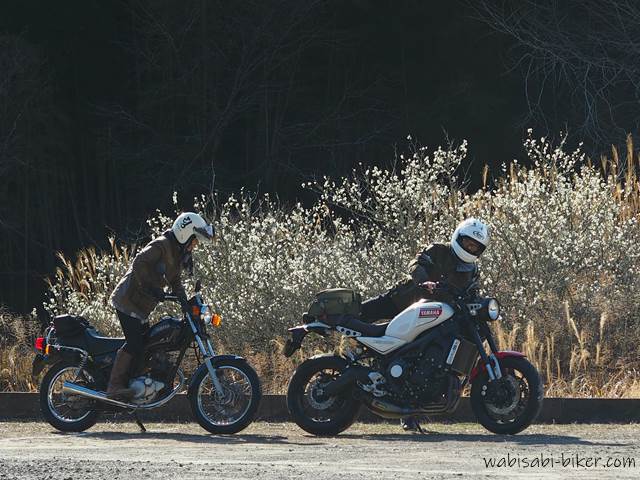 白梅とオートバイ 夫婦バイク写真