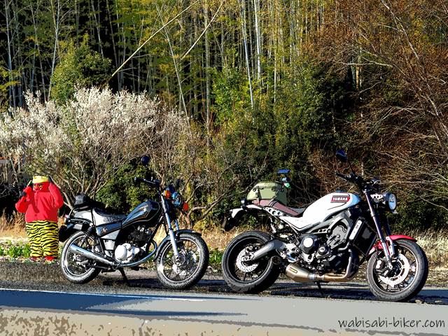 赤鬼とオートバイ SR125、XSR900