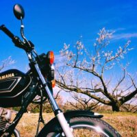 白梅が咲く梅園の前に停めたYAMAHA SR125と、背景に広がる青空。2月に撮影した季節の移ろいを感じるバイク写真。
