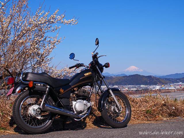 白梅と富士山とオートバイ