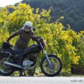 50歳からのバイク写真撮影 #25【ミモザ】