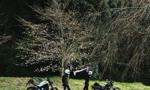 桜とスカーフとオートバイ 夫婦バイク写真
