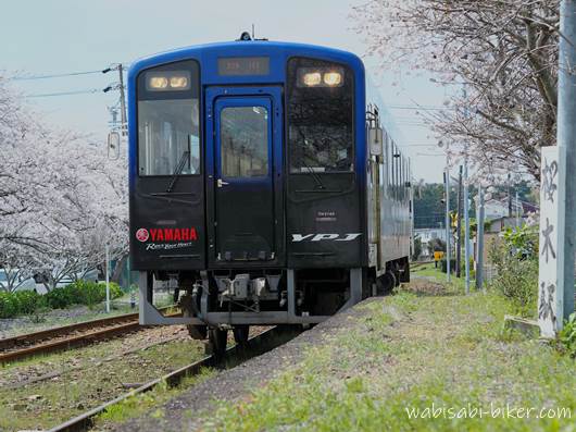 天浜線 桜とYAMAHA PAS号