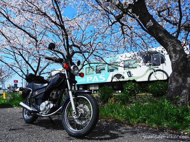 桜とオートバイと天浜線 YAMAHA PAS号