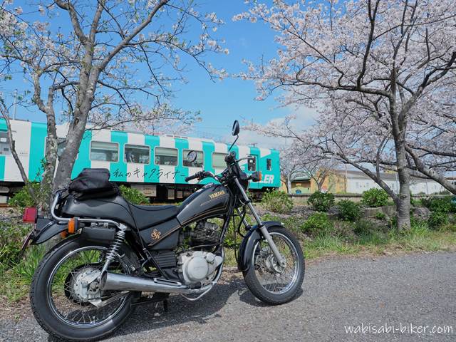 桜とオートバイと天浜線