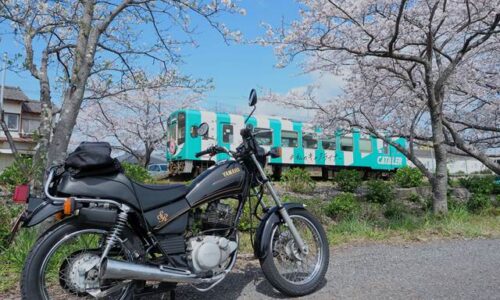 桜と天浜線とオートバイ