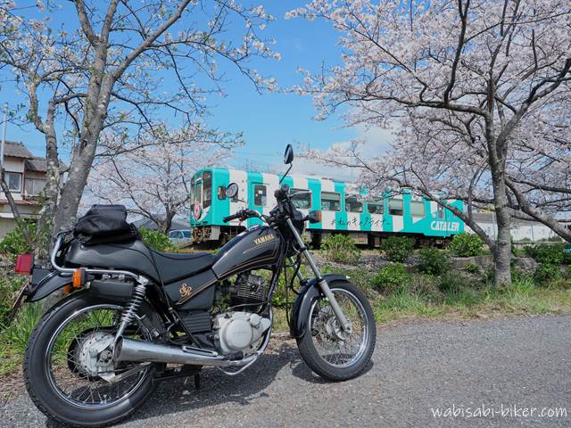 桜と天浜線とオートバイ 