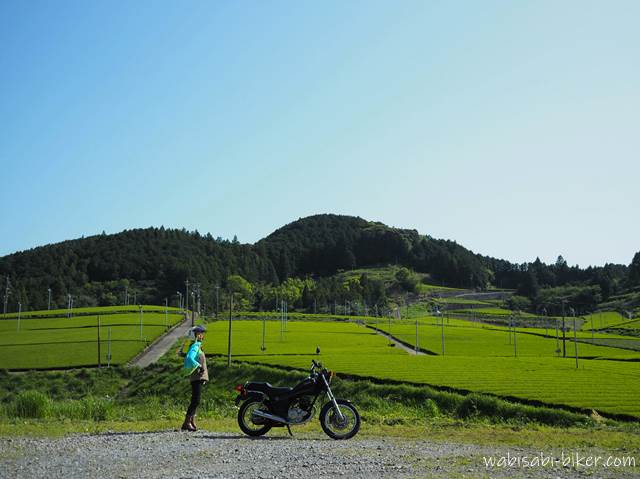 新緑の茶畑とバイク乗り YAMAHA SR125