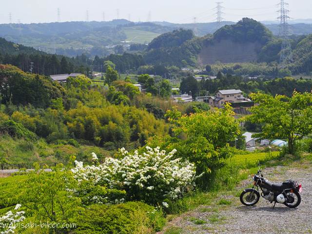 白いオオデマリの花のそばに停められたSR125。背景には茶畑の広がる里山や民家が見え、初夏の穏やかな風景が一望できる構図