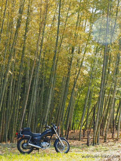 春に色褪せ始めた竹林の前に佇むSR125。右上にはレンズの光が入り、淡いオーブが映り込んだ『竹の秋』の季節感を捉えた写真