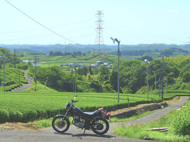 新緑の茶畑とバイク YAMAHA SR125