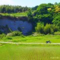 5月の欠片を集めて｜お散歩ツーリングで見た、季節の端っこ
