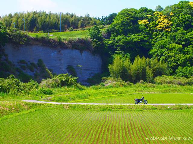田植え直後の水田のあぜ道に停められたSR125。崖の上には茶畑が広がり、小さくお茶刈り作業の様子も写っている。静かな構図だが、現場には機械音が響いていた