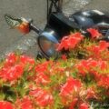 バイク写真に、ひと区切りの目安をつけることにした
